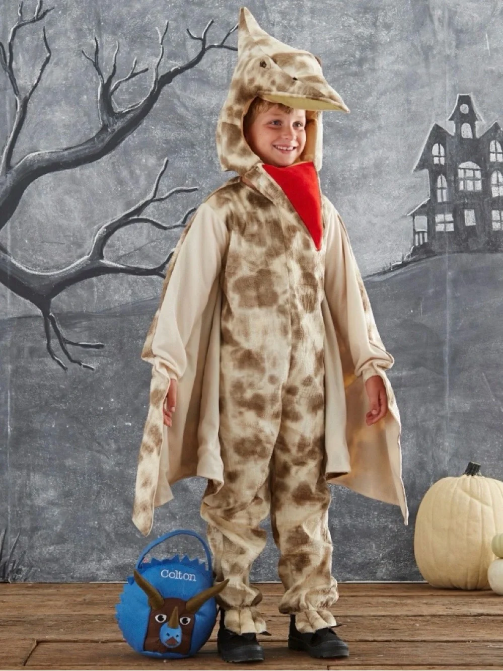 Pottery Barn Kids Pterodactyl Halloween Costume Two Piece